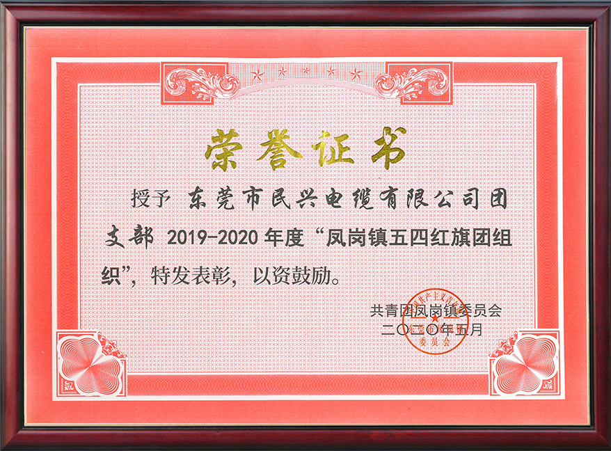  亚洲必赢电缆团支部获“凤岗镇五四红旗团组织“称号
